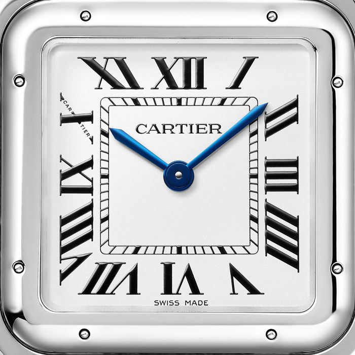 Cartier Panthère De Cartier Watch Large Model Quartz Movement Steel WSPN0016 - Image 2
