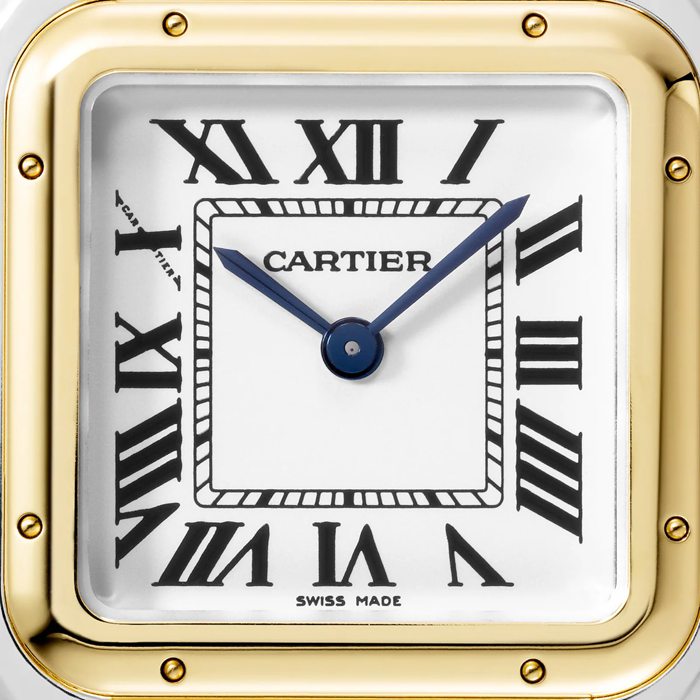 Cartier Panthere De Cartier Watch Medium Model Quartz Movement Case In Yellow Gold W2PN0019 - Image 3