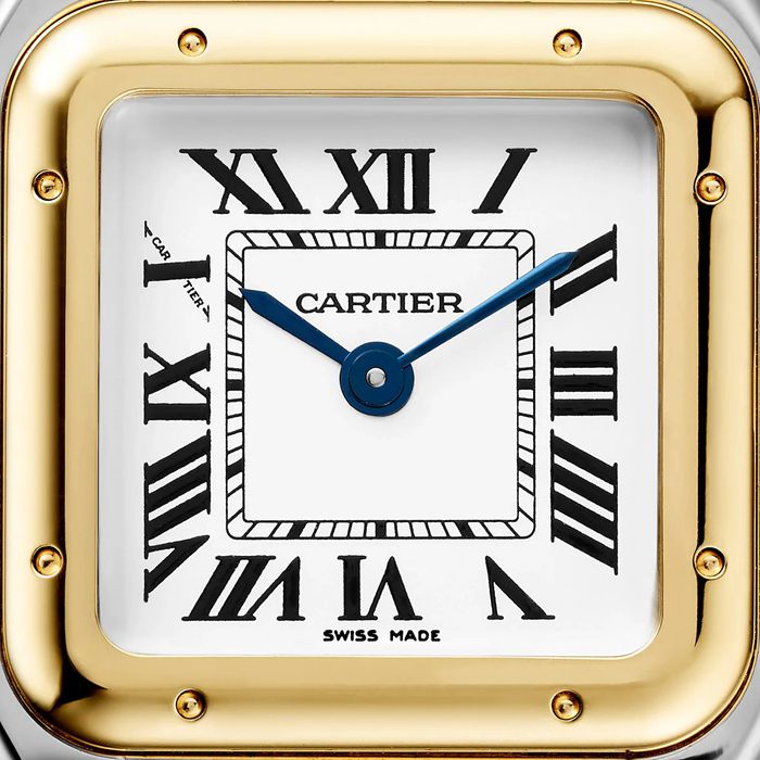 Cartier Panthere De Cartier Watch Small Model Quartz Movement Yellow Gold Steel W2PN0018 - Image 2