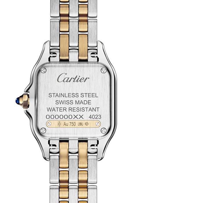 Cartier Panthere De Cartier Watch Small Model Quartz Movement Yellow Gold Steel W2PN0018 - Image 3