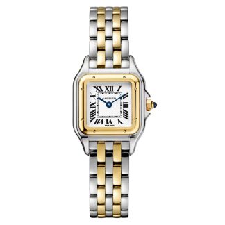Cartier Panthere De Cartier Watch Small Model Quartz Movement Yellow Gold Steel W2PN0018