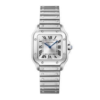 Cartier Santos De Cartier Small Model Quartz Steel WSSA0082