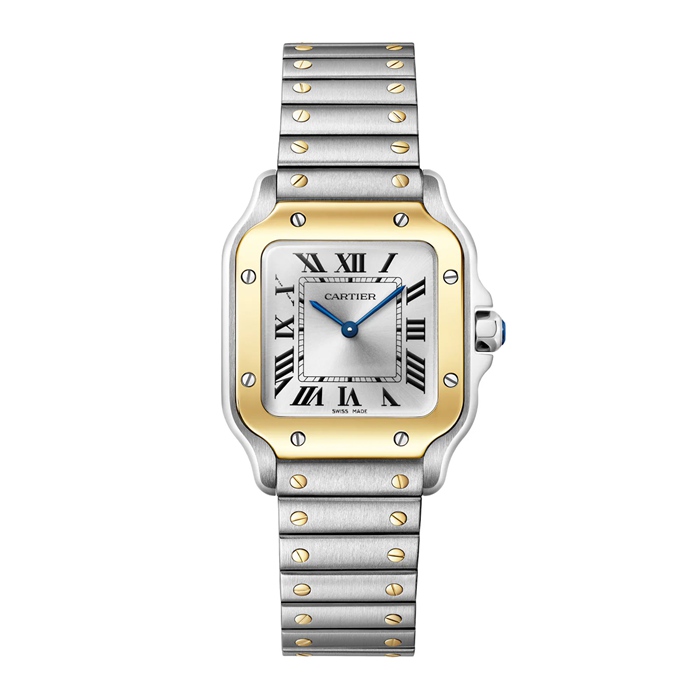 Cartier Santos De Cartier Small Model Quartz Yellow Gold Steel W2SA0033