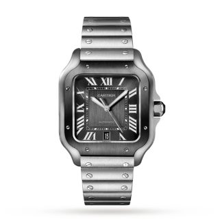 Cartier Santos De Cartier Watch Large Model Automatic Movement Steel ADLC Interchangeable Metal And Rubber Bracelets WSSA0037