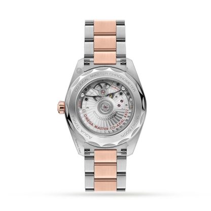 Omega Seamaster Aqua Terra Two-Tone 38mm Ladies Watch O22020382055002 - Image 2